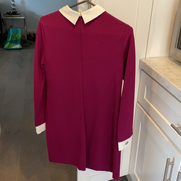 Raspberry, Cynthia Steffe “school girl” style dress. - Picture 4 of 4